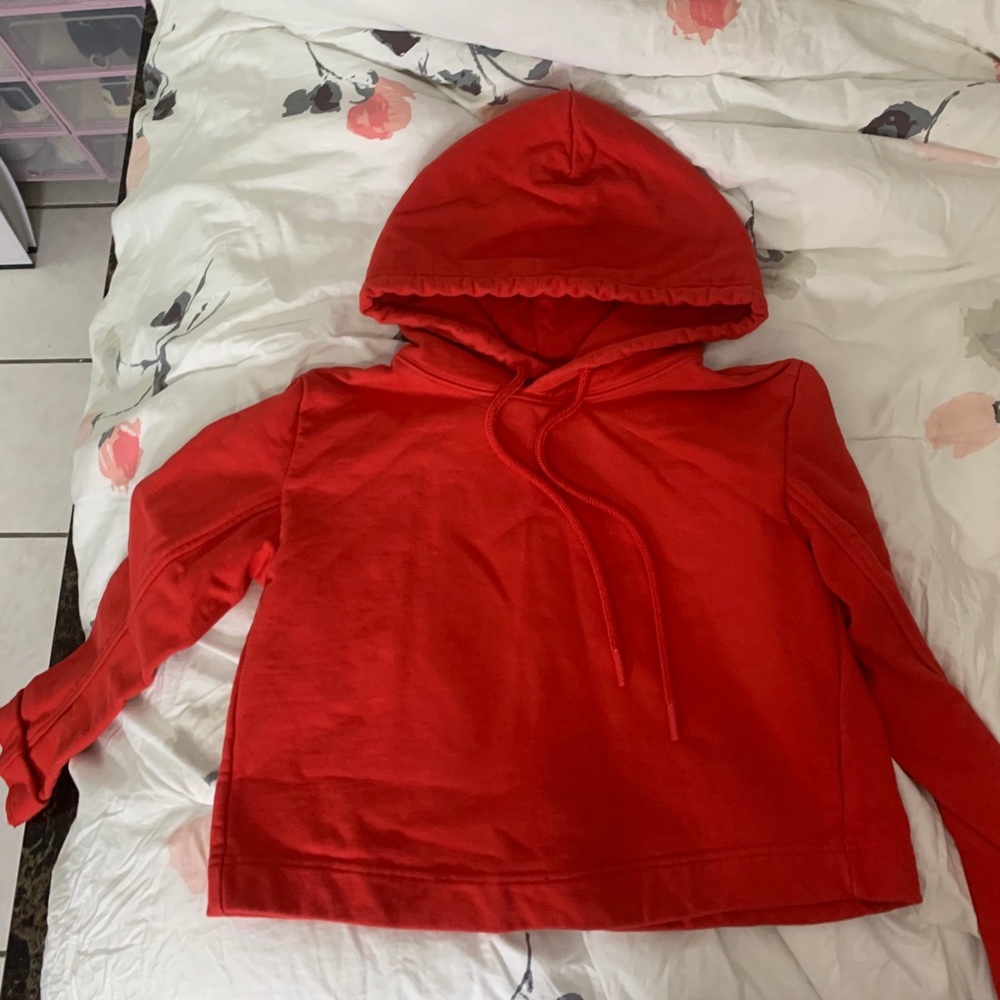 Aritzia boxy hoodie